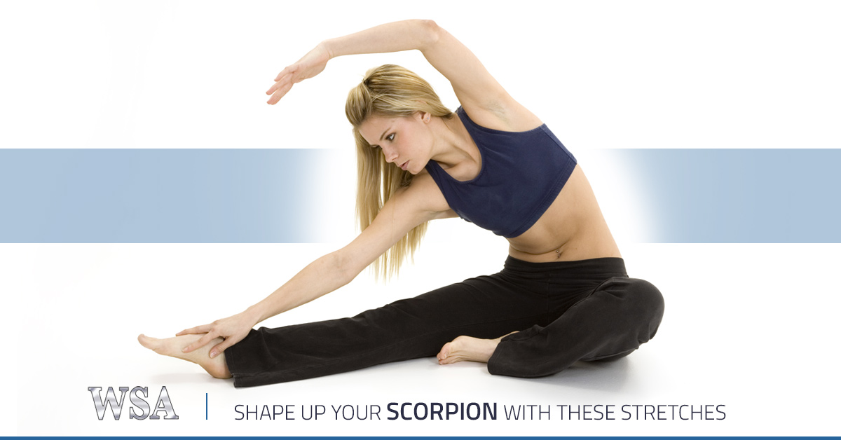 Blog_FeatImage_ScorpionStretches
